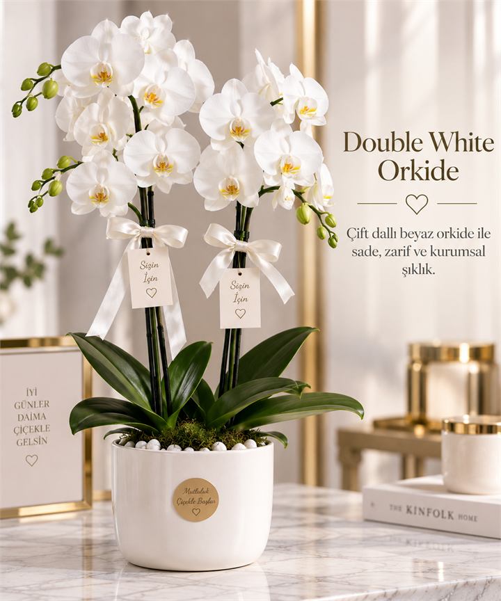 Double White Orkide