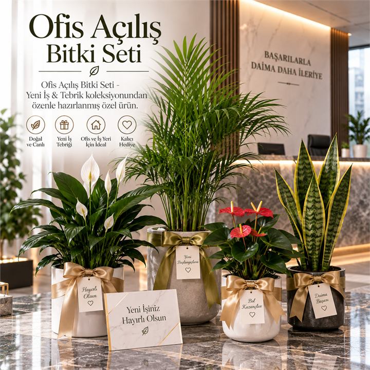 Ofis Açılış Bitki Seti